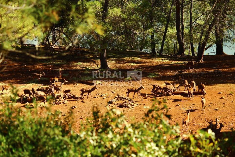 Maravilloso hotel rural con Spa, en Arroyo Frío - Imagen 44