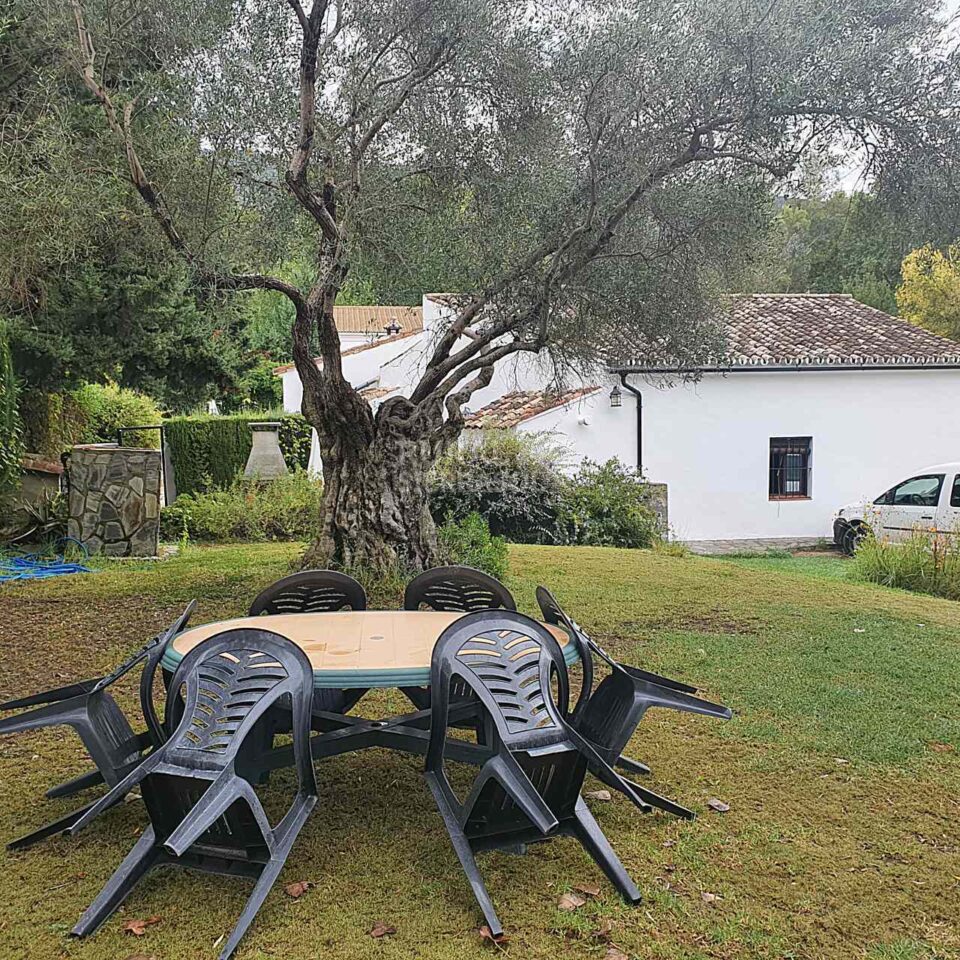 Conjunto de dos Casas Rurales en El Bosque con chimenea y barbacoa - Imagen 45