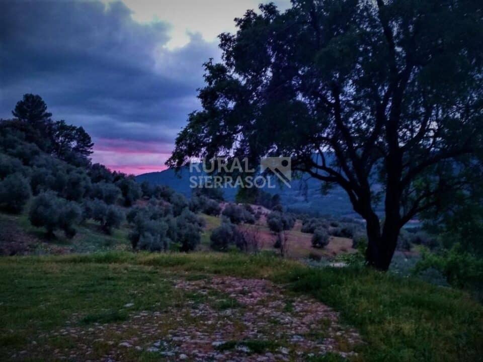 Preciosa Casa Rural en Hornos de Segura, con barbacoa y chimenea - Imagen 45