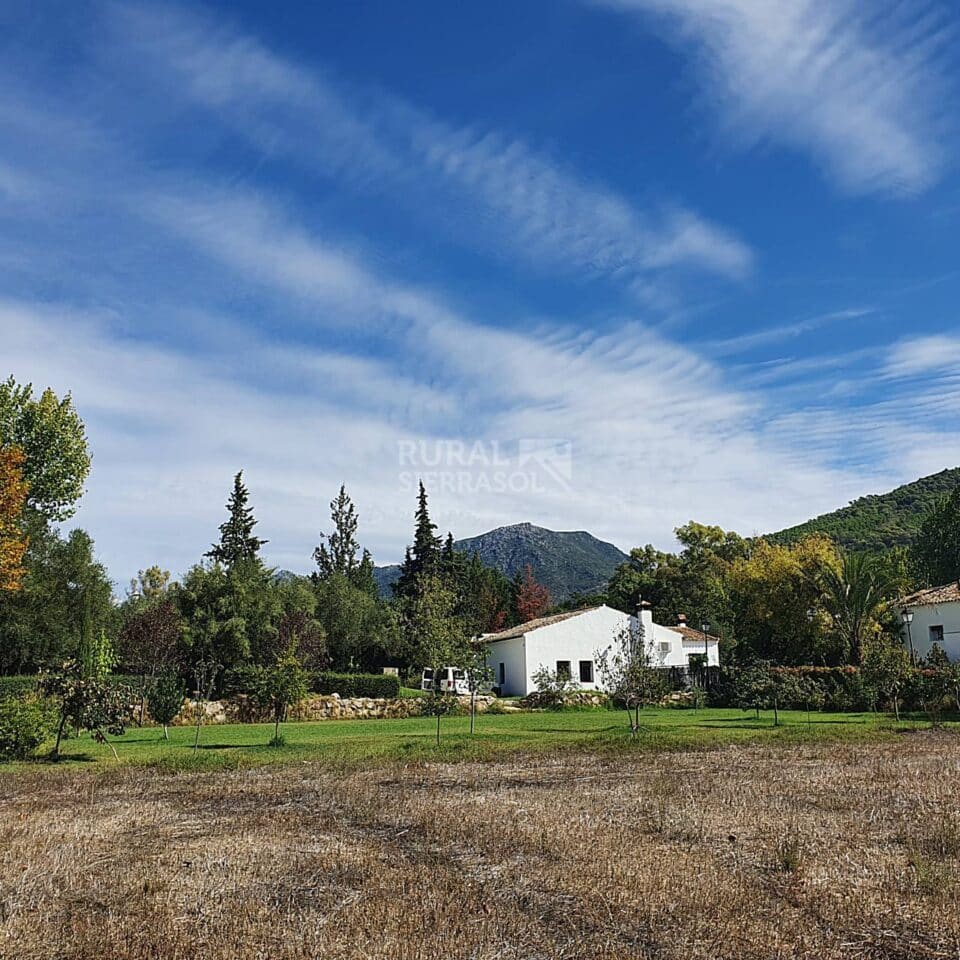 Conjunto de dos Casas Rurales en El Bosque con chimenea y barbacoa - Imagen 5