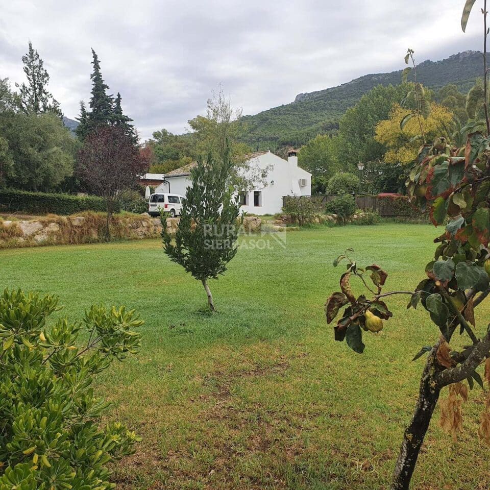 Conjunto de dos Casas Rurales en El Bosque con chimenea y barbacoa - Imagen 50