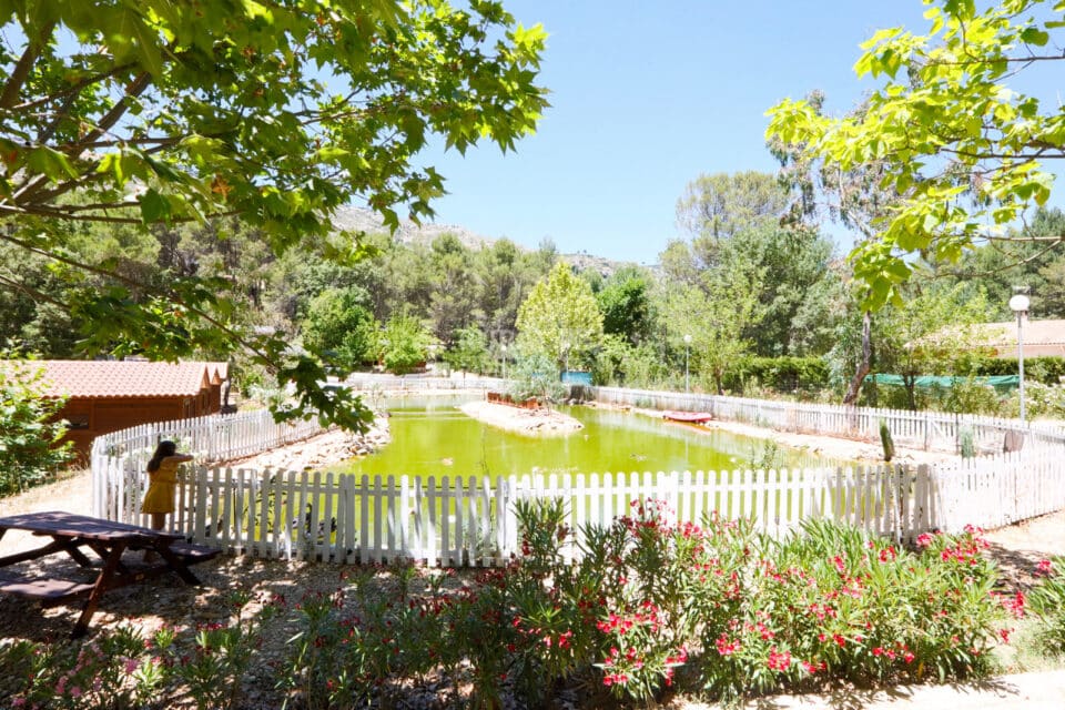 Fascinante Alojamiento Rural para 6 personas, en Arroyo Frío, con piscina, aire acondicionado y 3 baños - Imagen 44