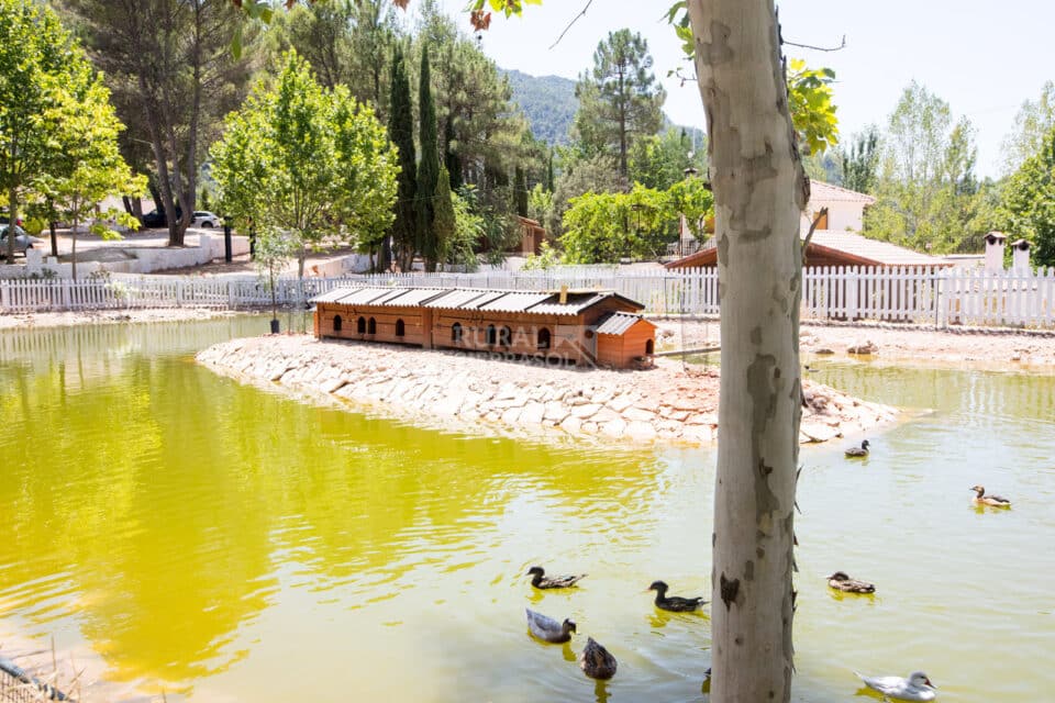 Fascinante Alojamiento Rural para 6 personas, en Arroyo Frío, con piscina, aire acondicionado y 3 baños - Imagen 45