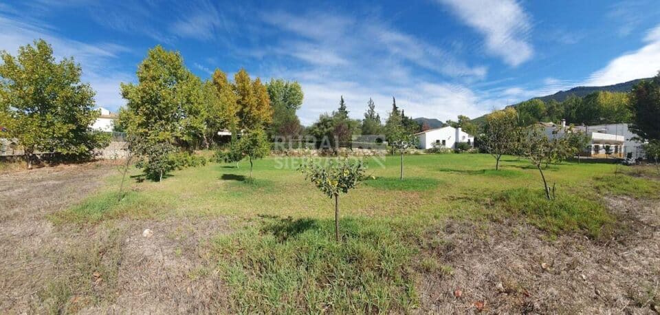 Conjunto de dos Casas Rurales en El Bosque con chimenea y barbacoa - Imagen 59