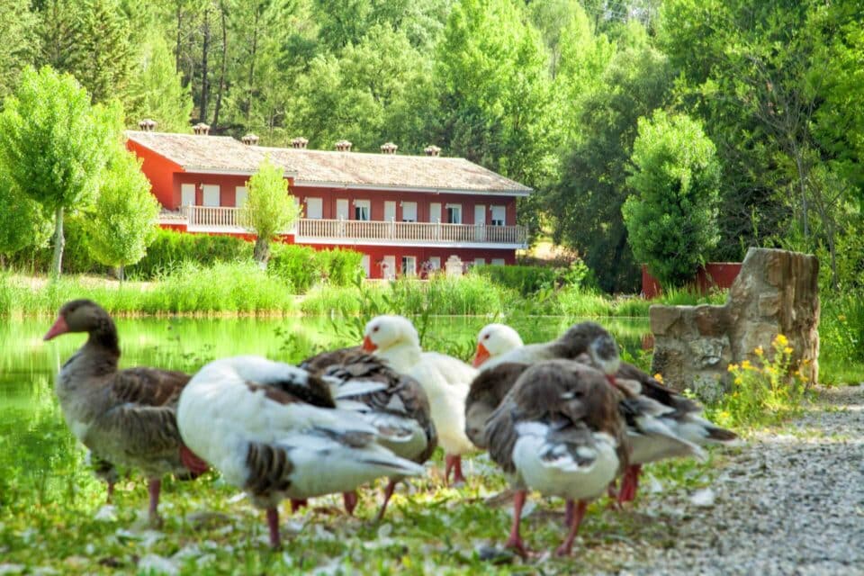 Acogedora Casa Rural en Coto Ríos, con piscina, amplios jardines y wifi - Imagen 58