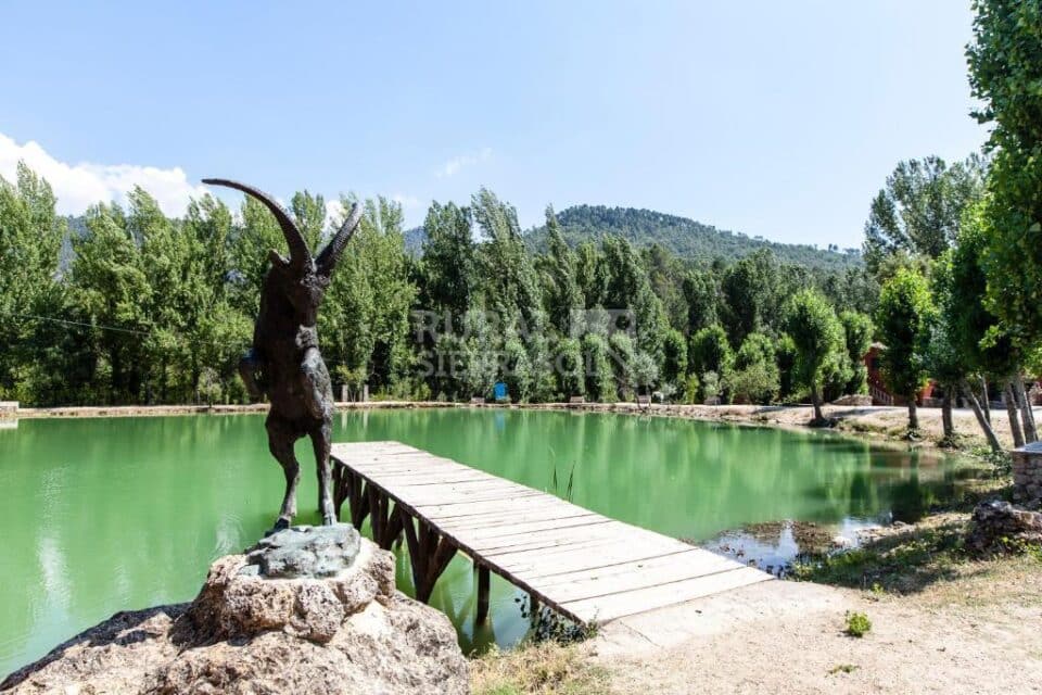 Acogedora Casa Rural en Coto Ríos, con piscina, amplios jardines y wifi - Imagen 61