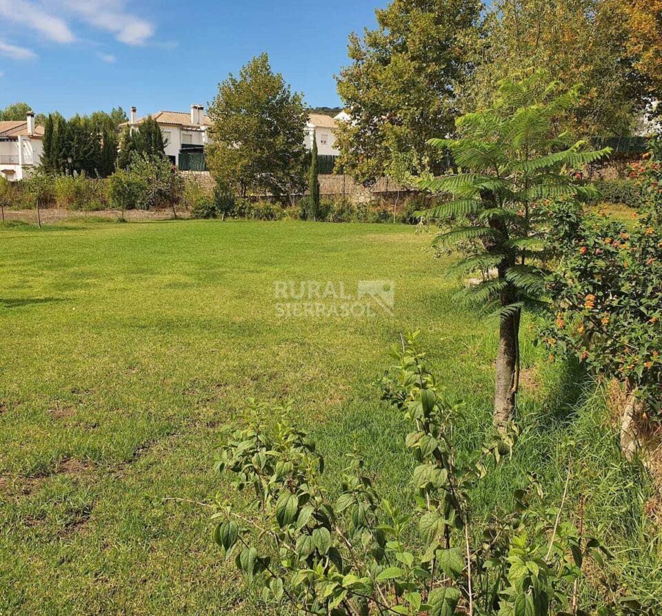 Conjunto de dos Casas Rurales en El Bosque con chimenea y barbacoa - Imagen 64