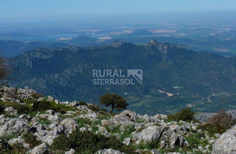 Acogedor Apartamento Rural en la Sierra de Grazalema - Imagen 67