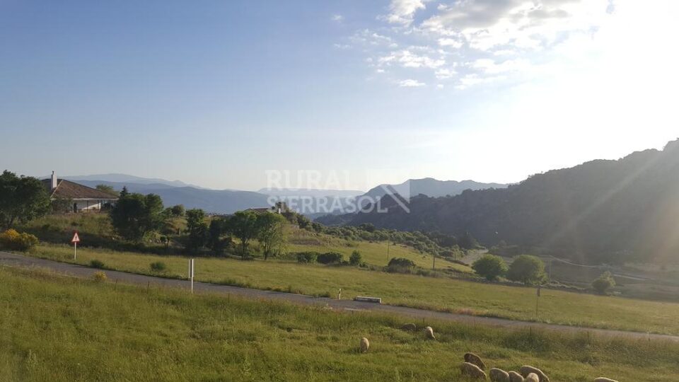 Acogedor Apartamento Rural en la Sierra de Grazalema - Imagen 69