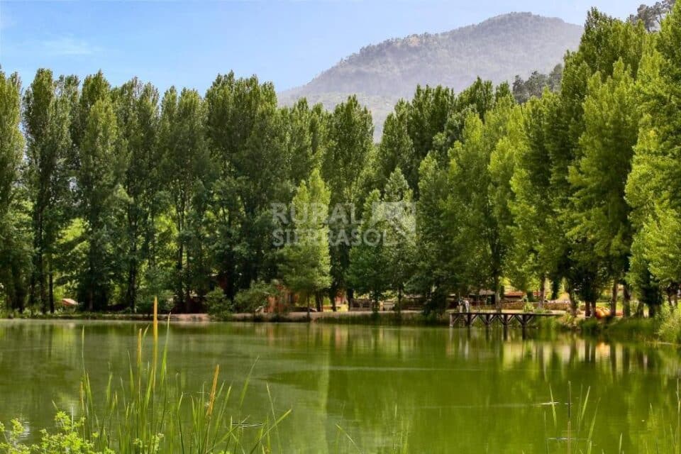 Acogedora Casa Rural en Coto Ríos, con piscina, amplios jardines y wifi - Imagen 73