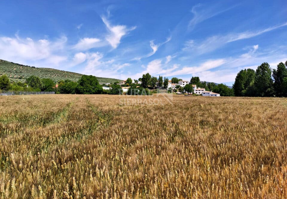 Espléndido Alojamiento Rural en Alcalá la Real, con piscina y wifi - Imagen 47