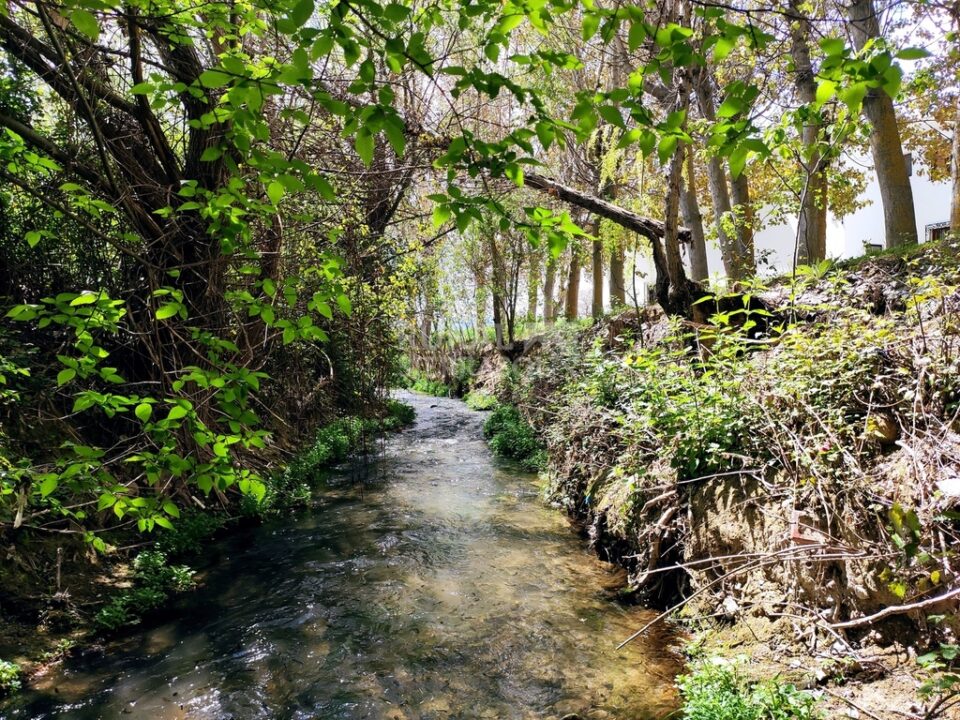 Espléndido Alojamiento Rural en Alcalá la Real, con piscina y wifi - Imagen 48