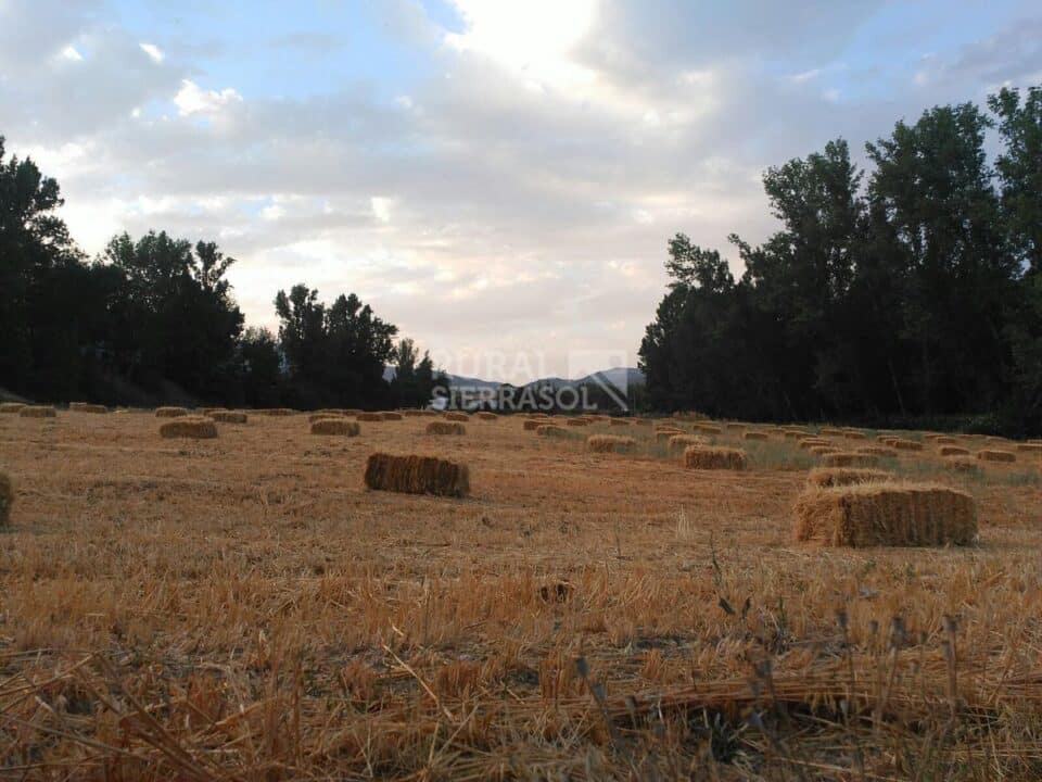 Conjunto Rural en Alcalá la Real, con amplio salón de reuniones - Imagen 115