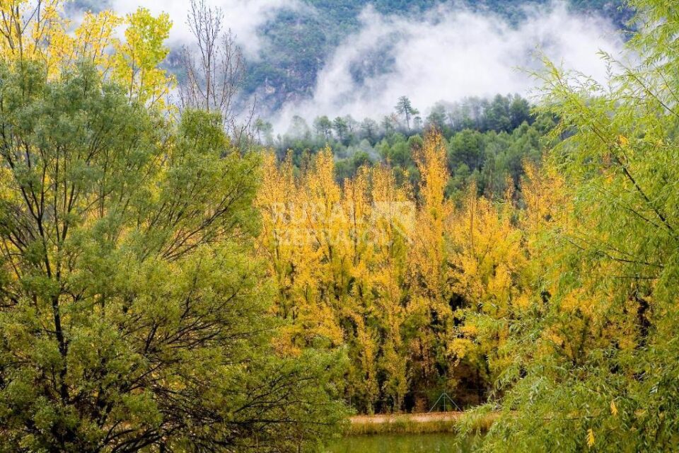 Preciosa Casa Rural en un paraje idílico de Coto Ríos - Imagen 76