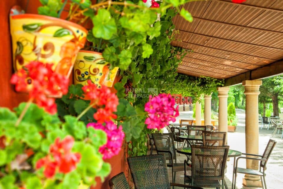 Preciosa Casa Rural en un paraje idílico de Coto Ríos - Imagen 9