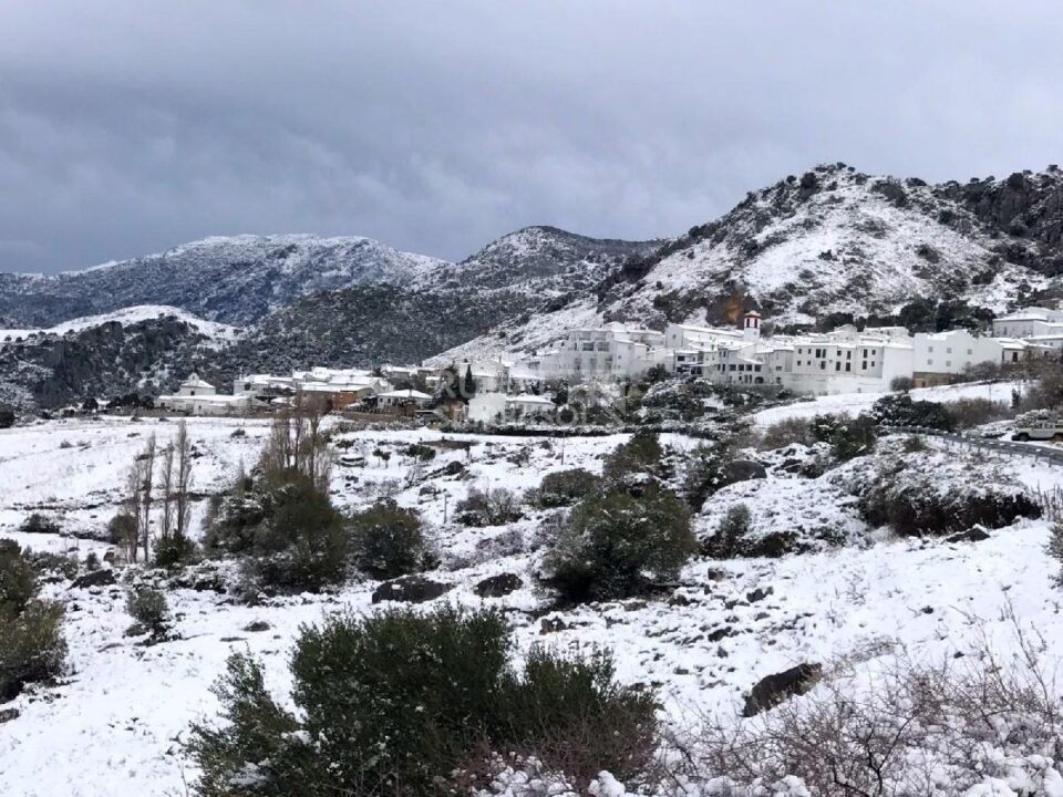 Conjunto Rural en plena Ruta de los Pueblos Blancos de la Sierra de Cádiz - Imagen 105