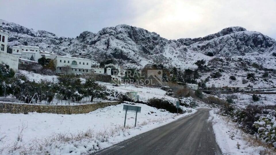 Conjunto Rural en plena Ruta de los Pueblos Blancos de la Sierra de Cádiz - Imagen 107