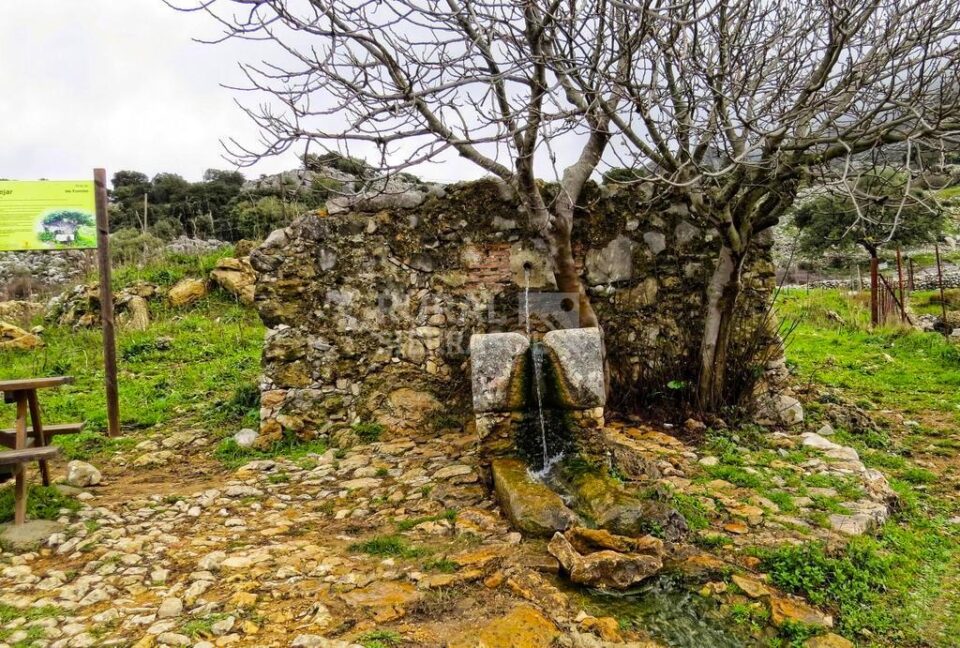 Conjunto Rural en plena Ruta de los Pueblos Blancos de la Sierra de Cádiz - Imagen 110