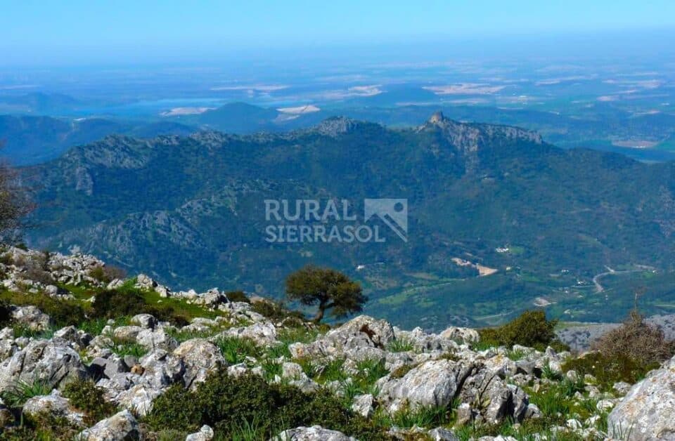 Conjunto Rural en plena Ruta de los Pueblos Blancos de la Sierra de Cádiz - Imagen 112
