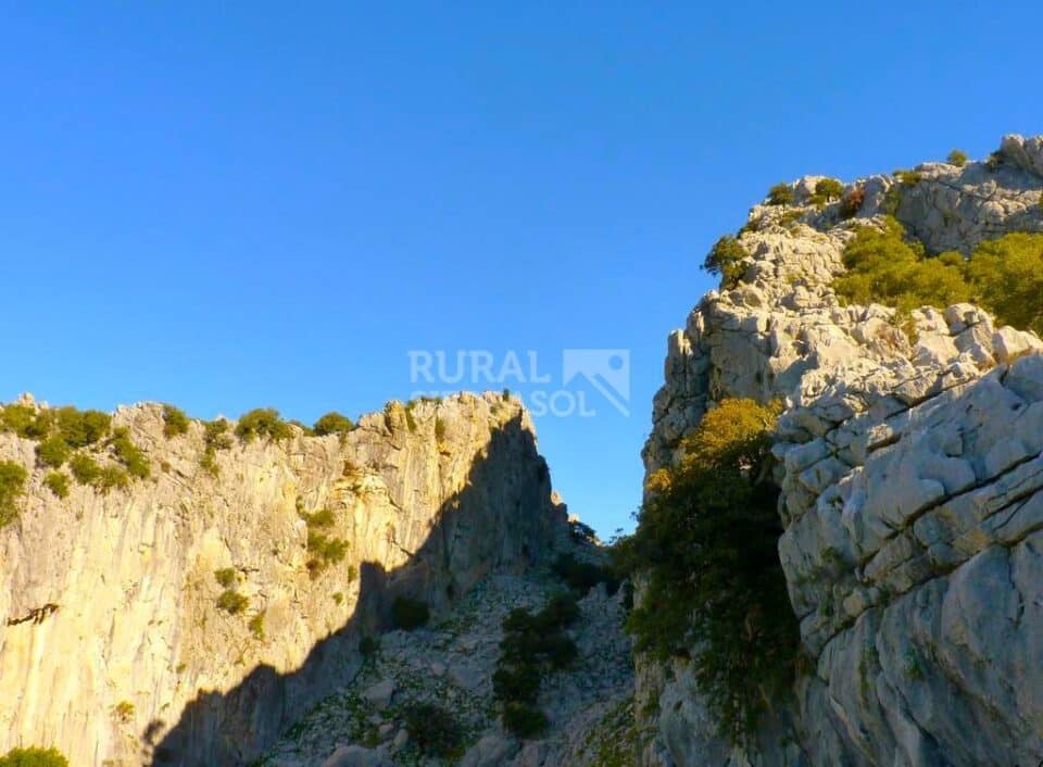 Conjunto Rural en plena Ruta de los Pueblos Blancos de la Sierra de Cádiz - Imagen 113