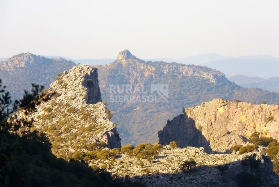 Conjunto Rural en plena Ruta de los Pueblos Blancos de la Sierra de Cádiz - Imagen 114