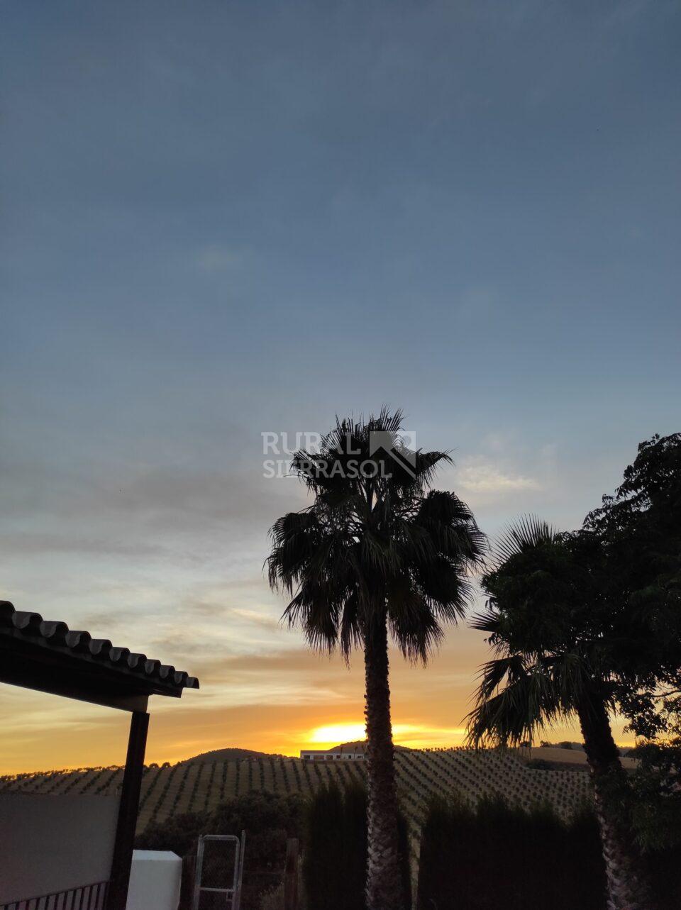 Cortijo en Prado del Rey con chimenea, piscina y barbacoa - Imagen 8