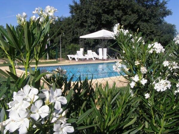 1. Casa rural en Posadas (Córdoba)-3309