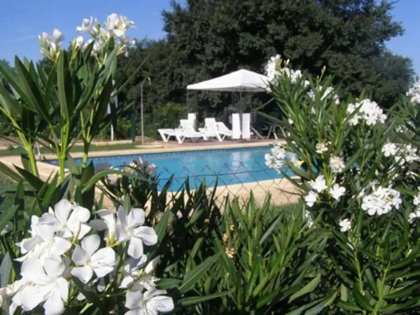 Piscina de Casa rural en Posadas (Córdoba)-3309