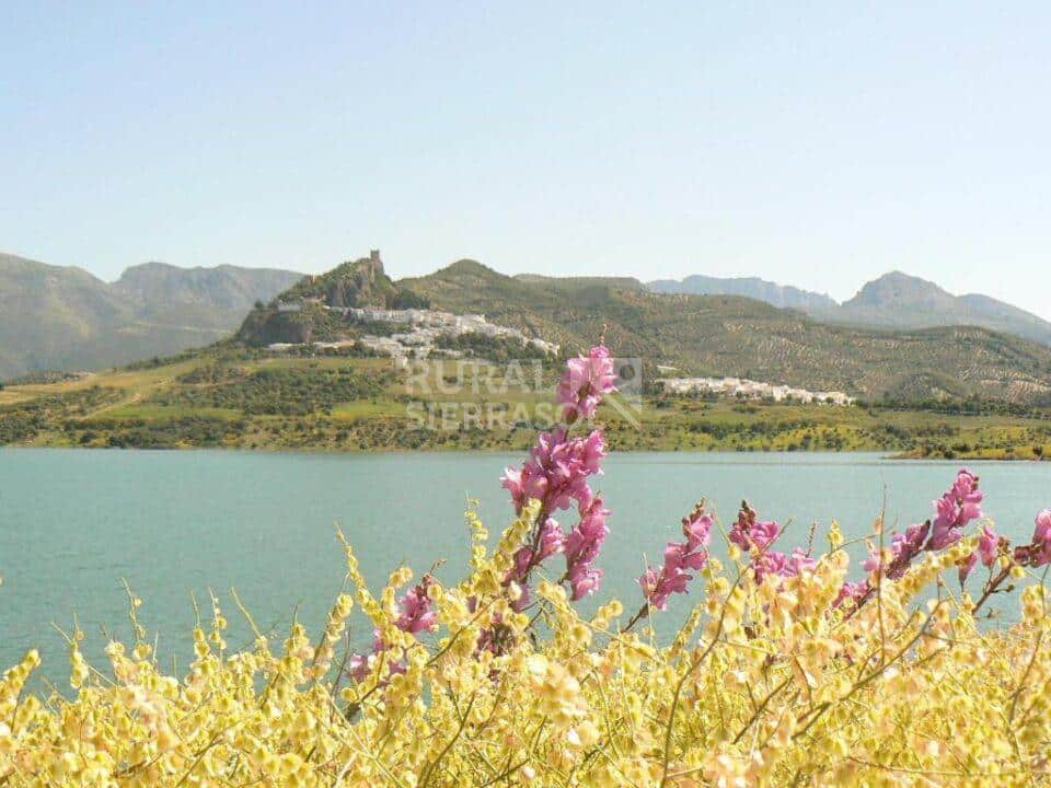 Acogedor Apartamento Rural en Zahara de la Sierra con chimenea, aire acondicionado y wi-fi - Imagen 11