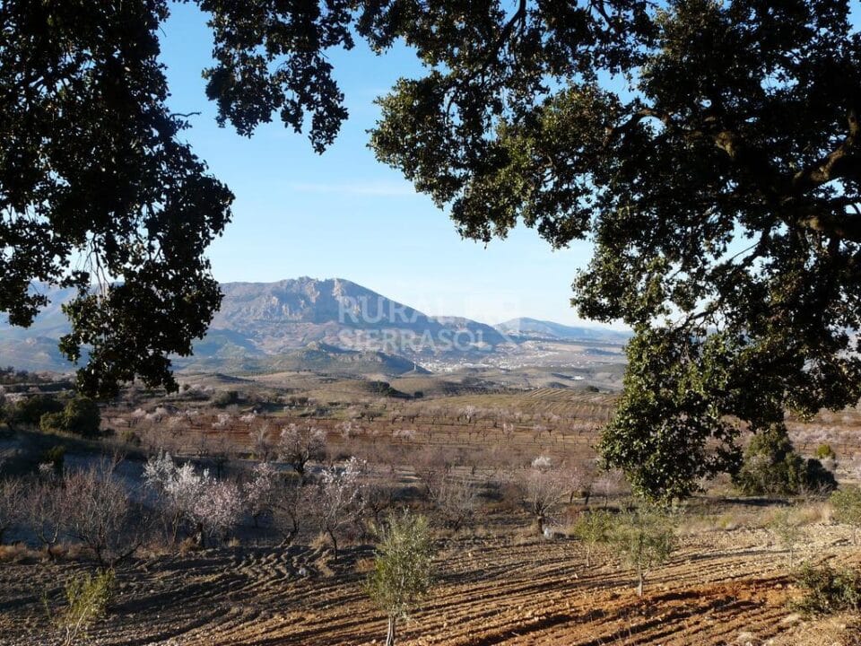 Conjunto Rural  Especial para Grandes Grupos, cerca del Parque Natural de Sierra María-Los Vélez - Imagen 48