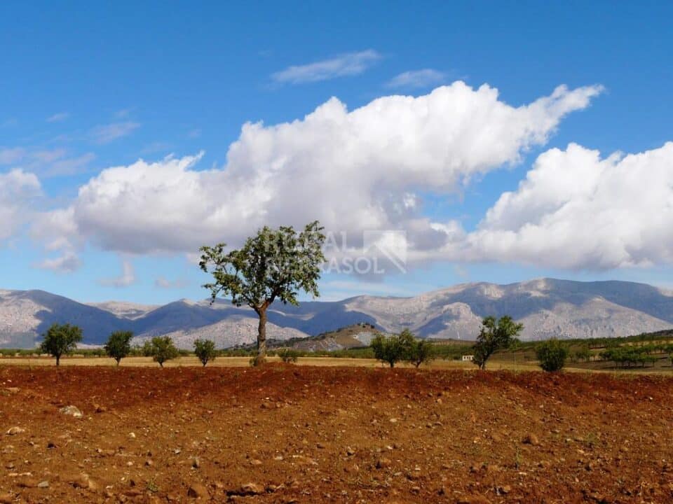 Conjunto Rural  Especial para Grandes Grupos, cerca del Parque Natural de Sierra María-Los Vélez - Imagen 52