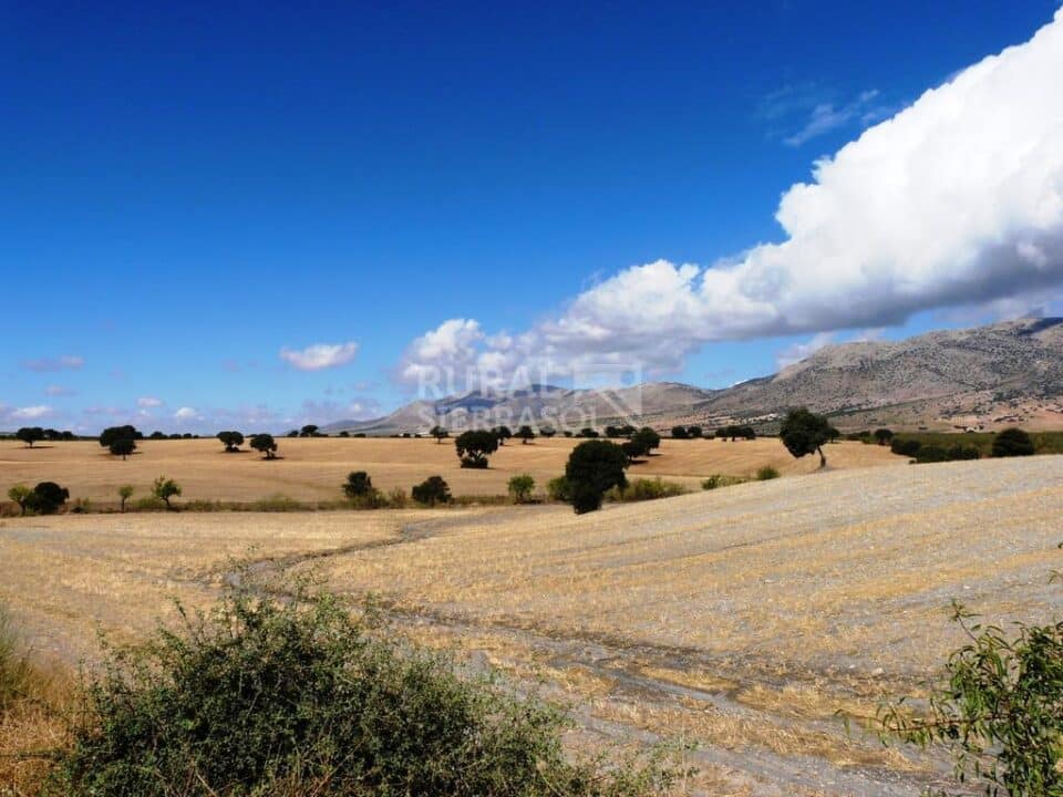Conjunto Rural  Especial para Grandes Grupos, cerca del Parque Natural de Sierra María-Los Vélez - Imagen 53