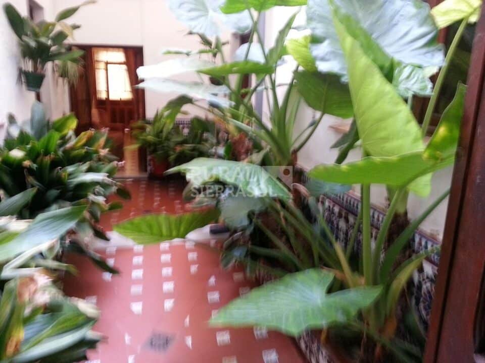 Casa Rural en Ubrique, especial para grandes grupos - Imagen 10
