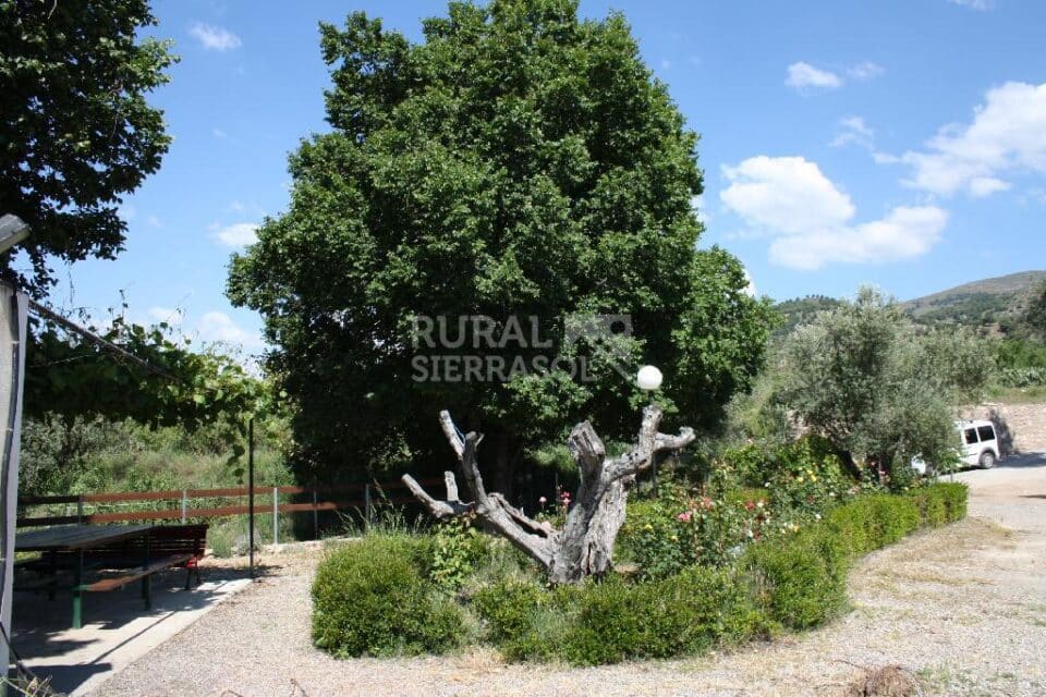 Acogedor Alojamiento Rural en el sureste del Parque Nacional de Sierra Nevada - Imagen 20
