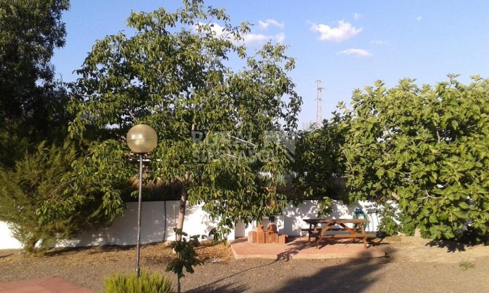Acogedor Alojamiento Rural en el sureste del Parque Nacional de Sierra Nevada - Imagen 25