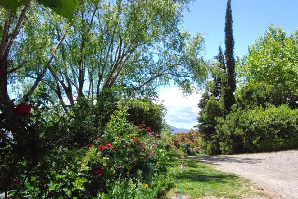 Cortijo típico Alpujarreño en Pitres, con preciosas panorámicas - Imagen 29