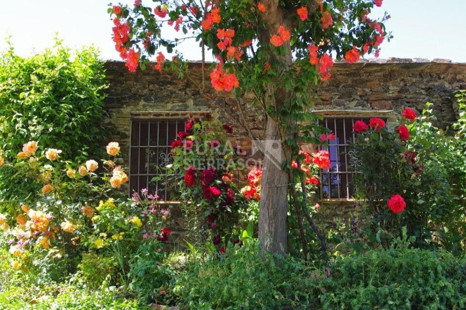 Cortijo típico Alpujarreño en Pitres, con preciosas panorámicas - Imagen 45