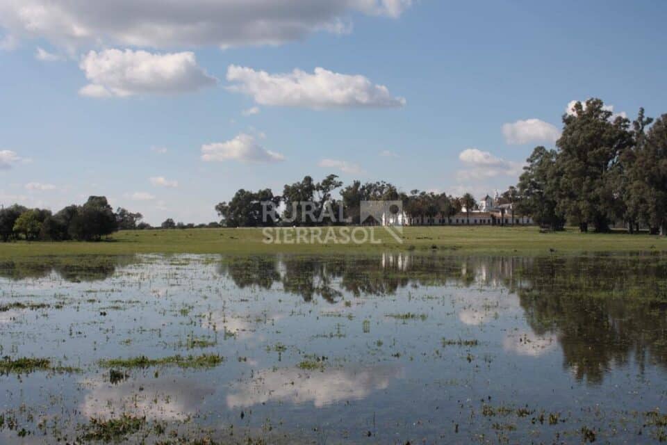 Sensacional Casa Rural cerca del Parque Nacional de Doñana - Imagen 50