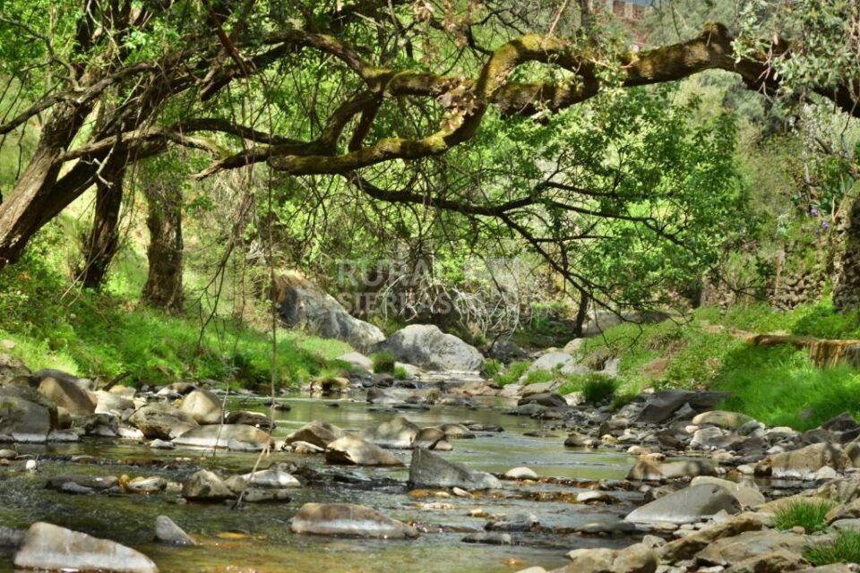 Conjunto Rural emplazado en un entorno de naturaleza en estado puro - Imagen 103