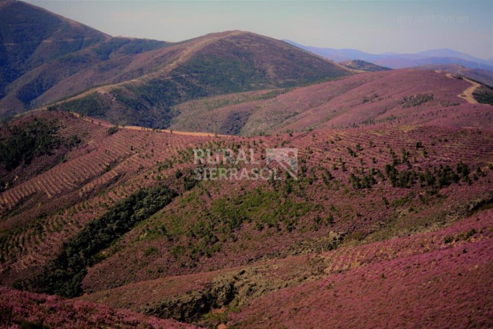 Cálida Casa Rural en plena Comarca de Las Hurdes - Imagen 41
