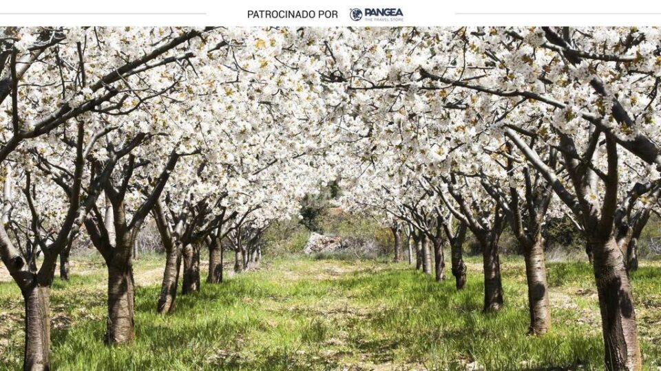 Conjunto Rural en Jarandilla de la Vera, con aire acondicionado y wifi - Imagen 61