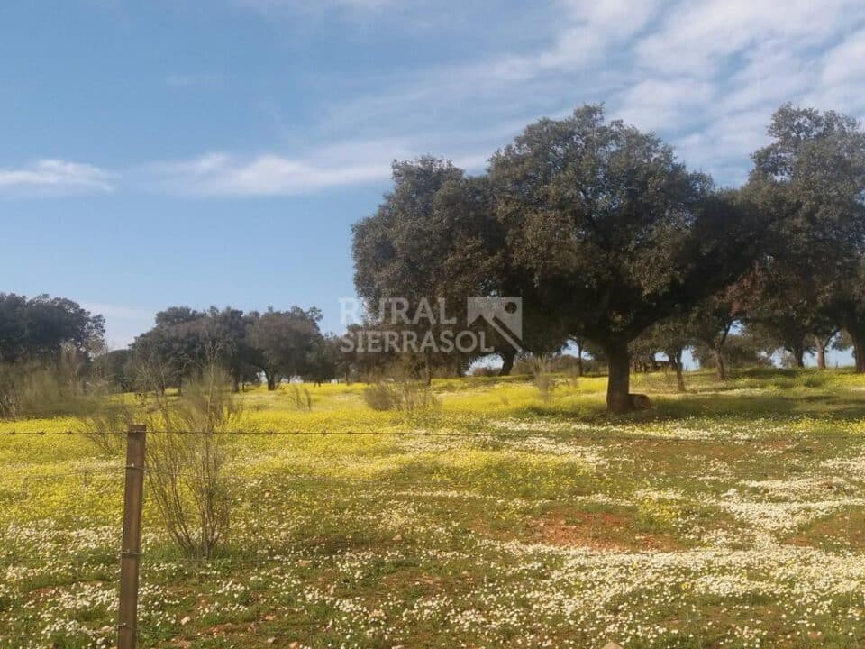 Espléndido Apartamento Rural en Torrejón El Rubio, con piscina y wifi - Imagen 25