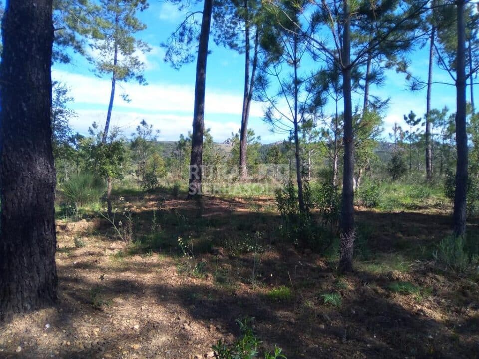 Conjunto Rural en plena naturaleza, con piscina y aire acondicionado - Imagen 160