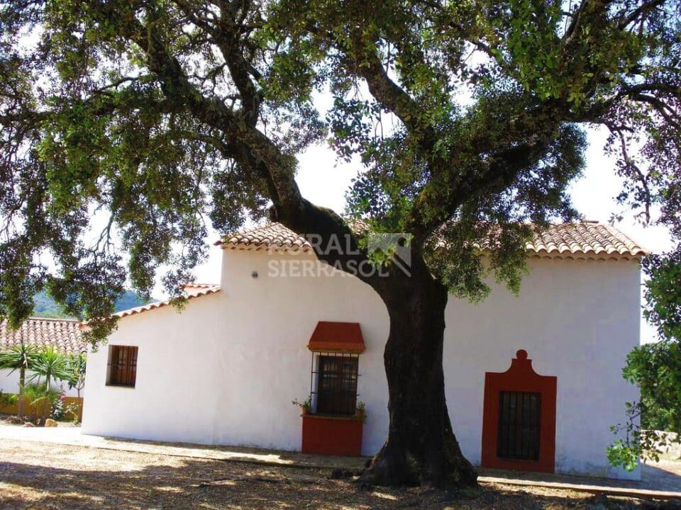 Acogedora Casa Rural en Cortegana, con piscina y barbacoa - Imagen 42