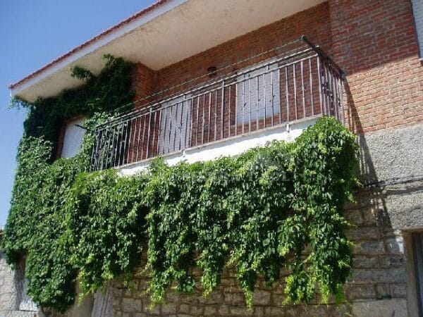 Casa rural en Mingorría (Ávila)-1661