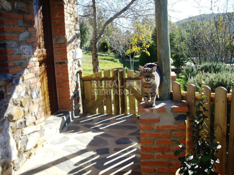 Acogedora Casa Rural en plena Naturaleza, con amplio jardín - Imagen 17