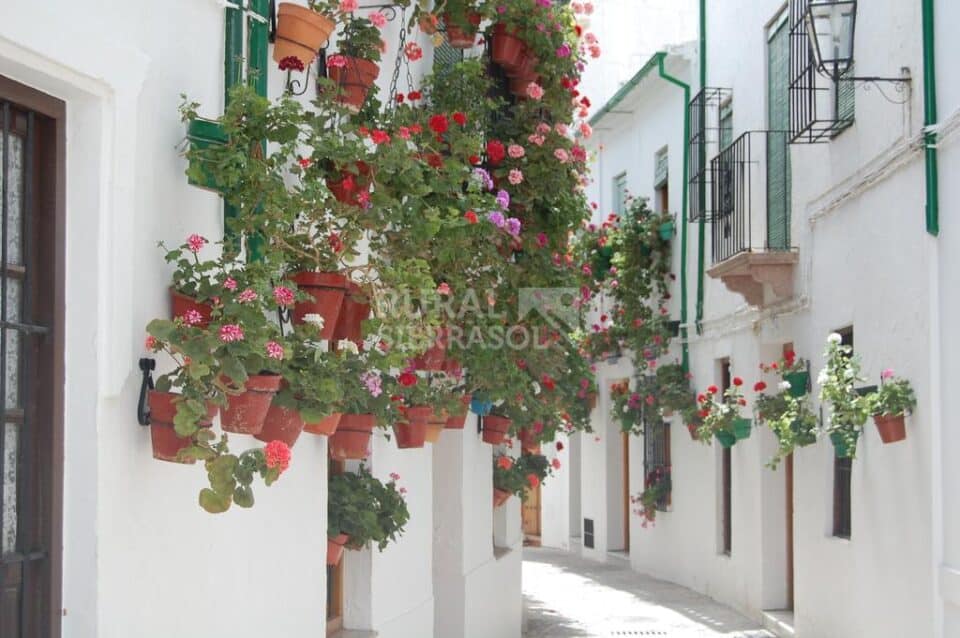 Hotel rural con encanto en Priego de Córdoba, con baños árabes - Imagen 51