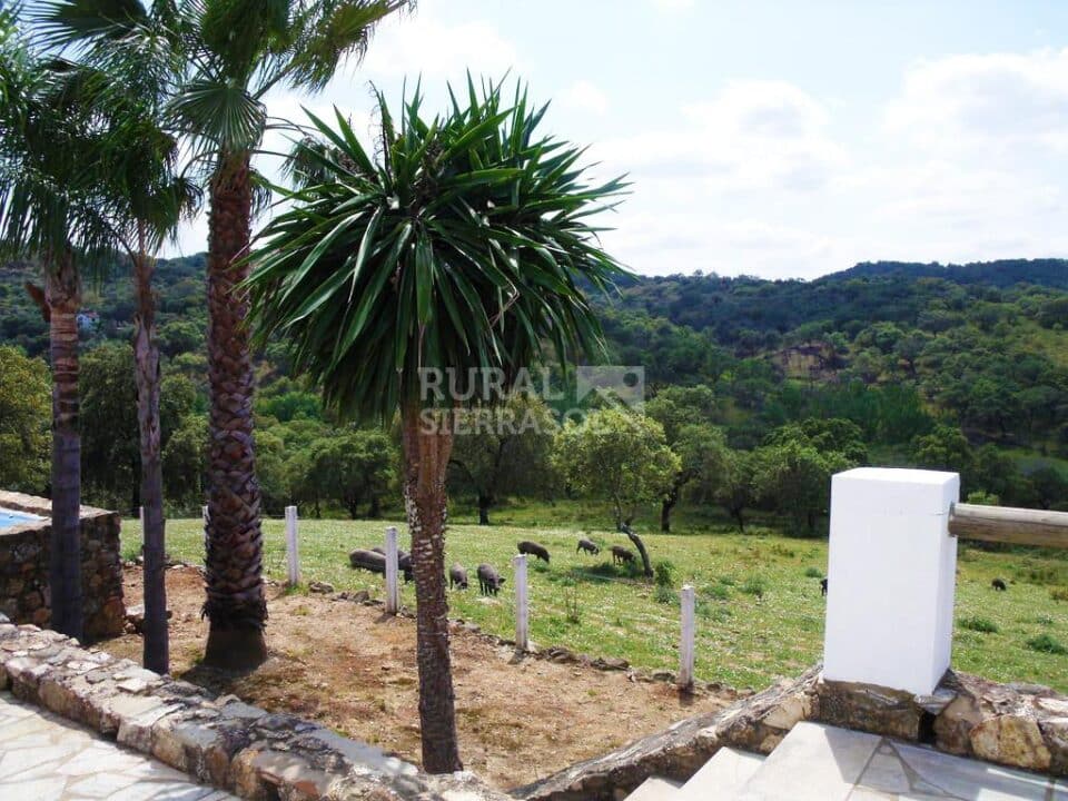 Conjunto de tres Casas Rurales en Cortegana, con piscina y barbacoa - Imagen 61