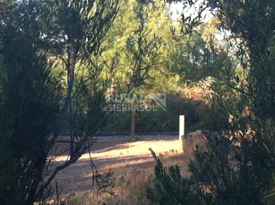 Acogedor Apartamento Rural junto al Parque Nacional de Monfrague - Imagen 30