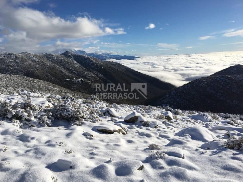 Hostería Rural en Madrigal de la Vera - Imagen 44